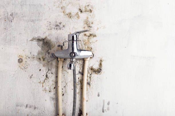  West Salem, OH Mold Removal Pros
