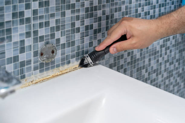 Reliable West Salem, OH Mold Remediation Solutions